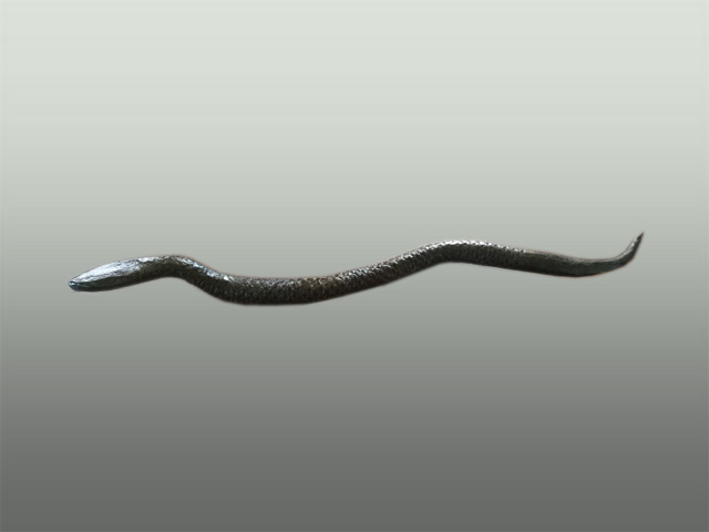 Slange lavet ud af en Raspe